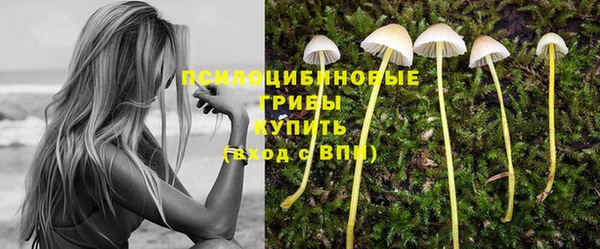 ПСИЛОЦИБИНОВЫЕ ГРИБЫ Зерноград
